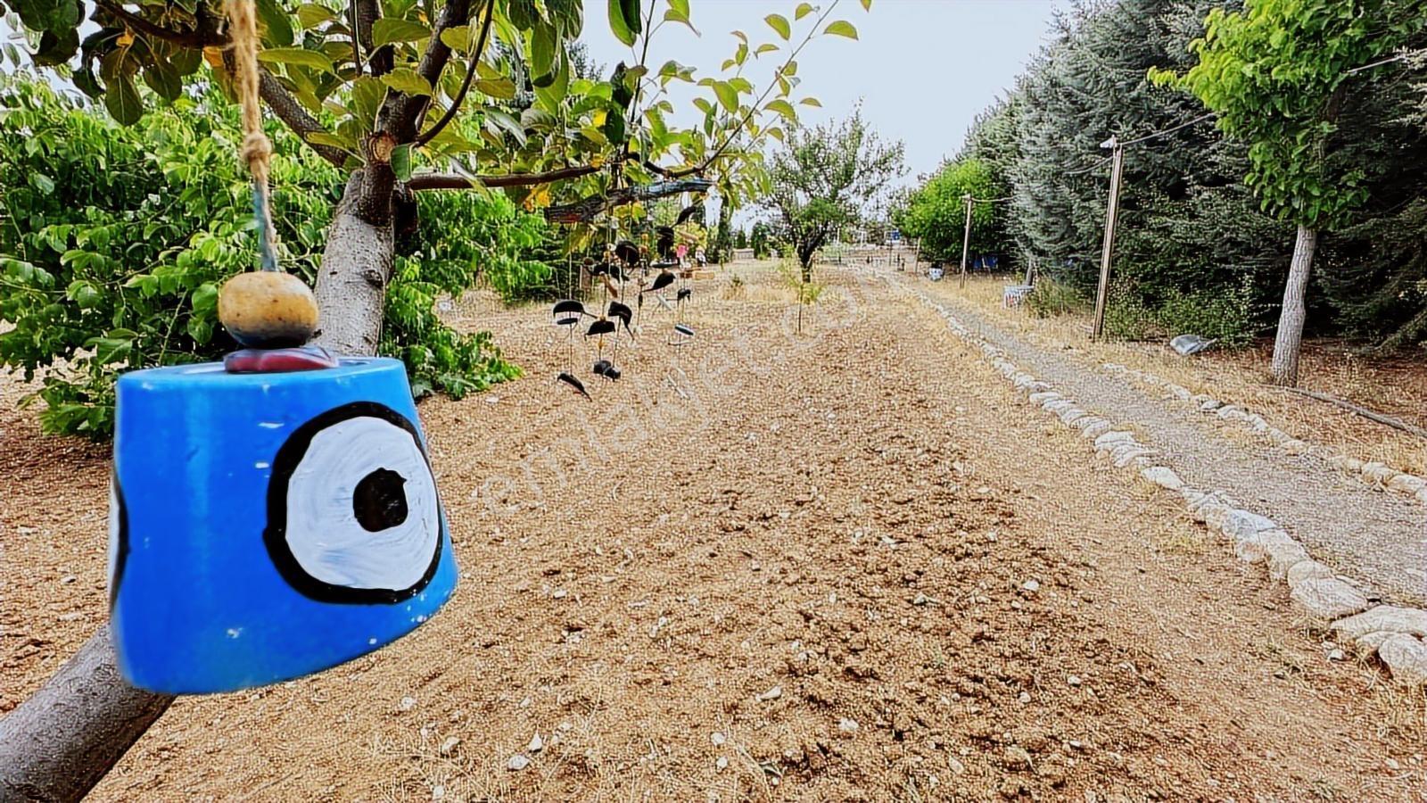 Turyap'tan Agro Turizm Ve Efsanavi Bağ Evi Ve Meyve Bahçesi Sat. - Görsel 34