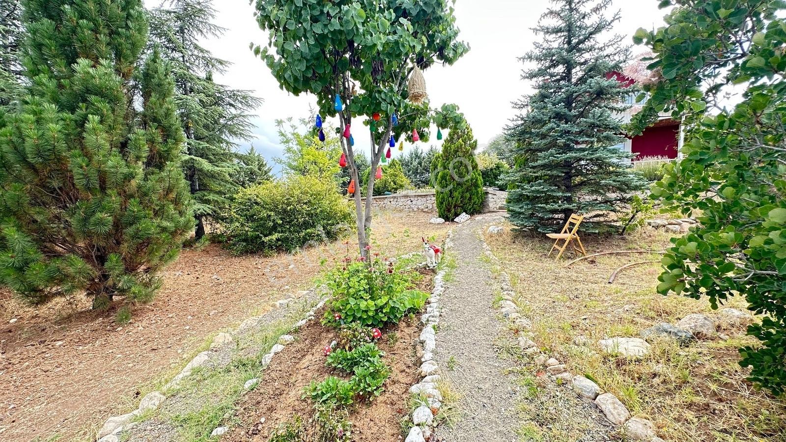 Turyap'tan Agro Turizm Ve Efsanavi Bağ Evi Ve Meyve Bahçesi Sat. - Görsel 3