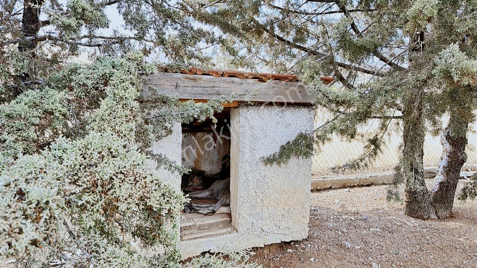 Turyap'tan Agro Turizm Ve Efsanavi Bağ Evi Ve Meyve Bahçesi Sat. - Görsel 7