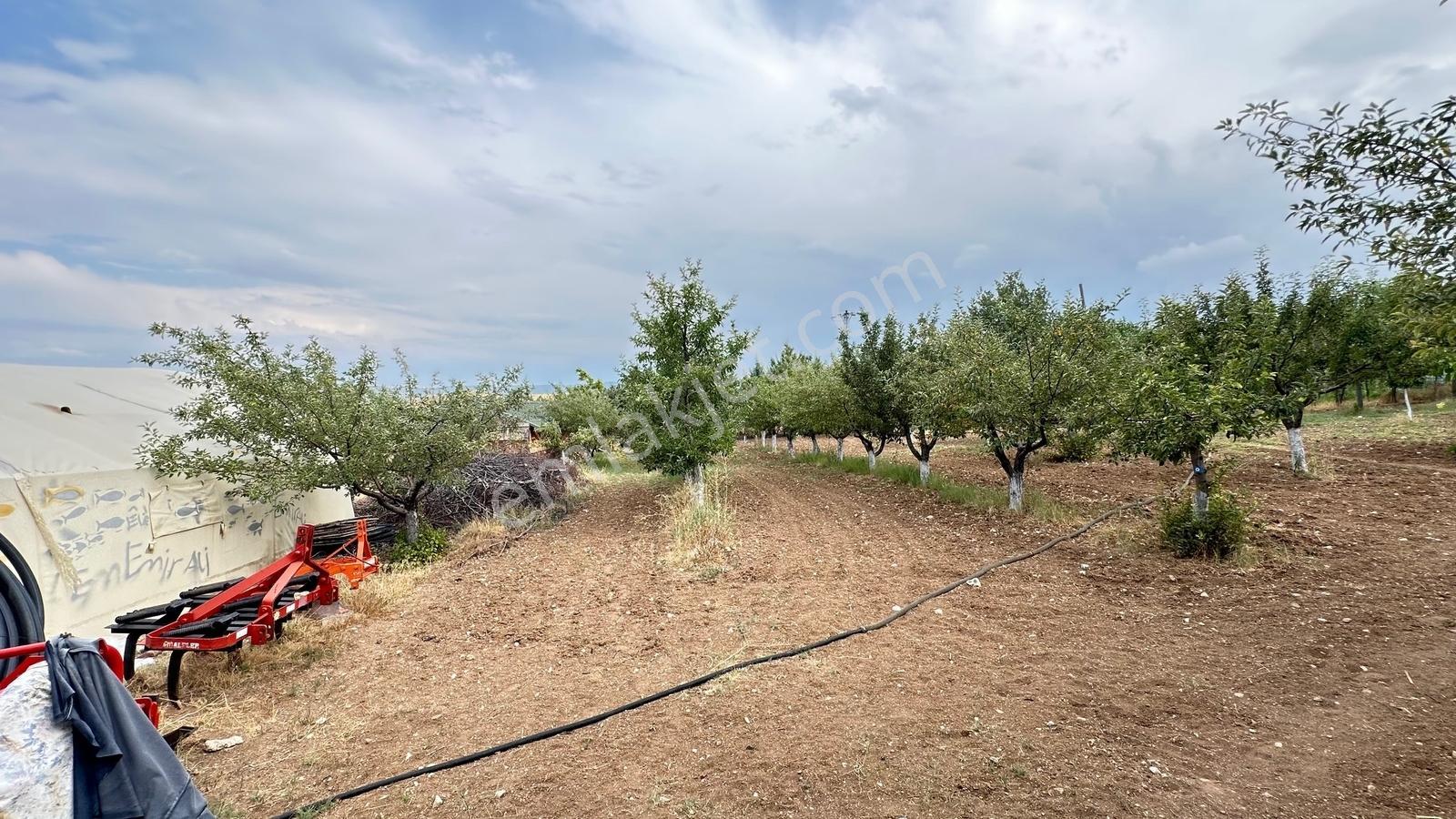 Turyap'tan Agro Turizm Ve Efsanavi Bağ Evi Ve Meyve Bahçesi Sat. - Görsel 23