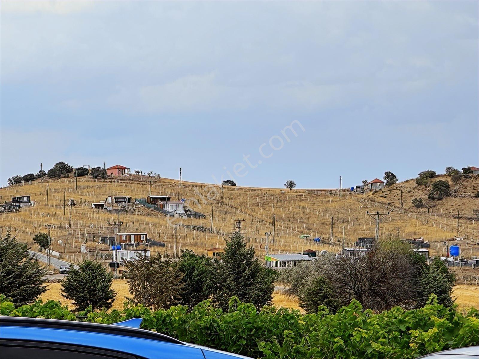 Turyap'tan Agro Turizm Ve Efsanavi Bağ Evi Ve Meyve Bahçesi Sat. - Görsel 9