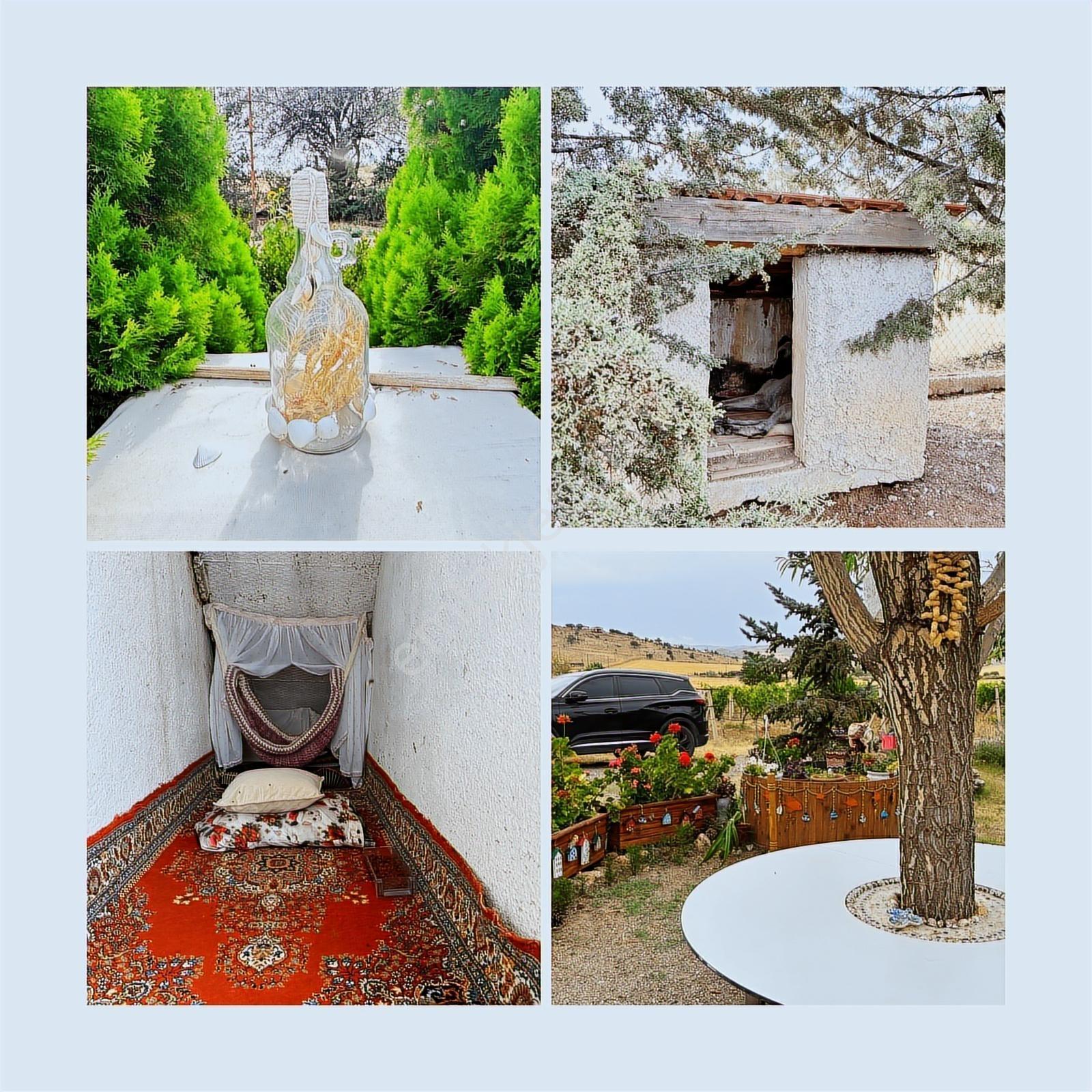 Turyap'tan Agro Turizm Ve Efsanavi Bağ Evi Ve Meyve Bahçesi Sat. - Görsel 18