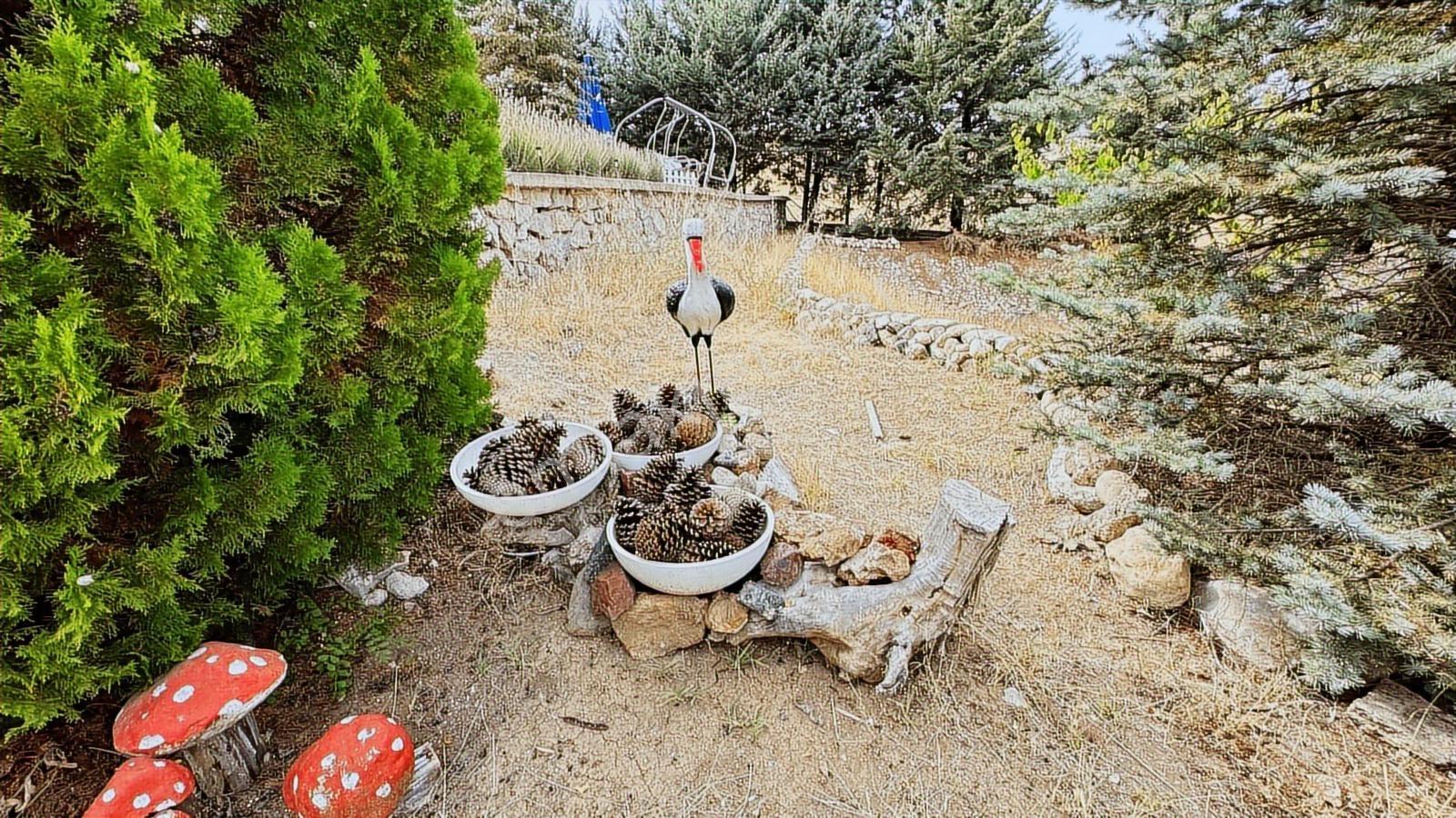 Turyap'tan Agro Turizm Ve Efsanavi Bağ Evi Ve Meyve Bahçesi Sat. - Görsel 5