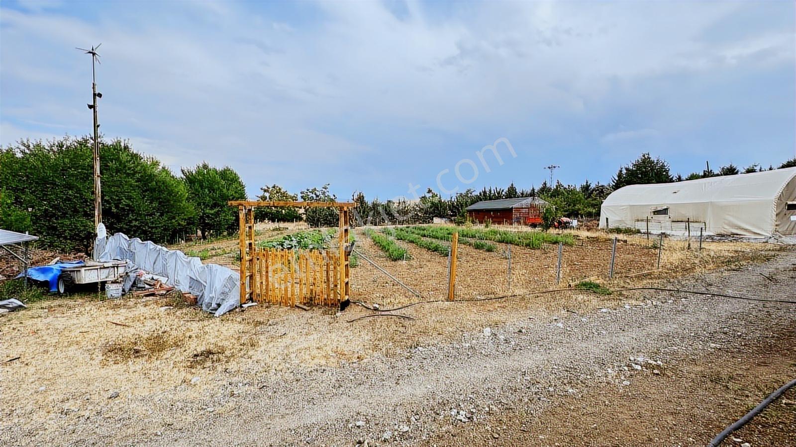 Turyap'tan Agro Turizm Ve Efsanavi Bağ Evi Ve Meyve Bahçesi Sat. - Görsel 22
