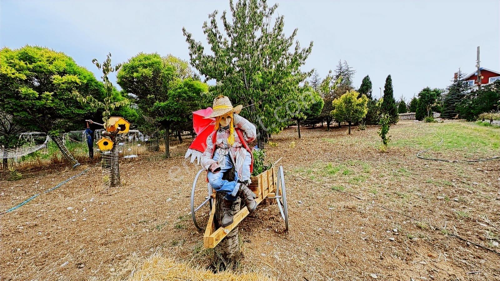 Turyap'tan Agro Turizm Ve Efsanavi Bağ Evi Ve Meyve Bahçesi Sat. - Görsel 24