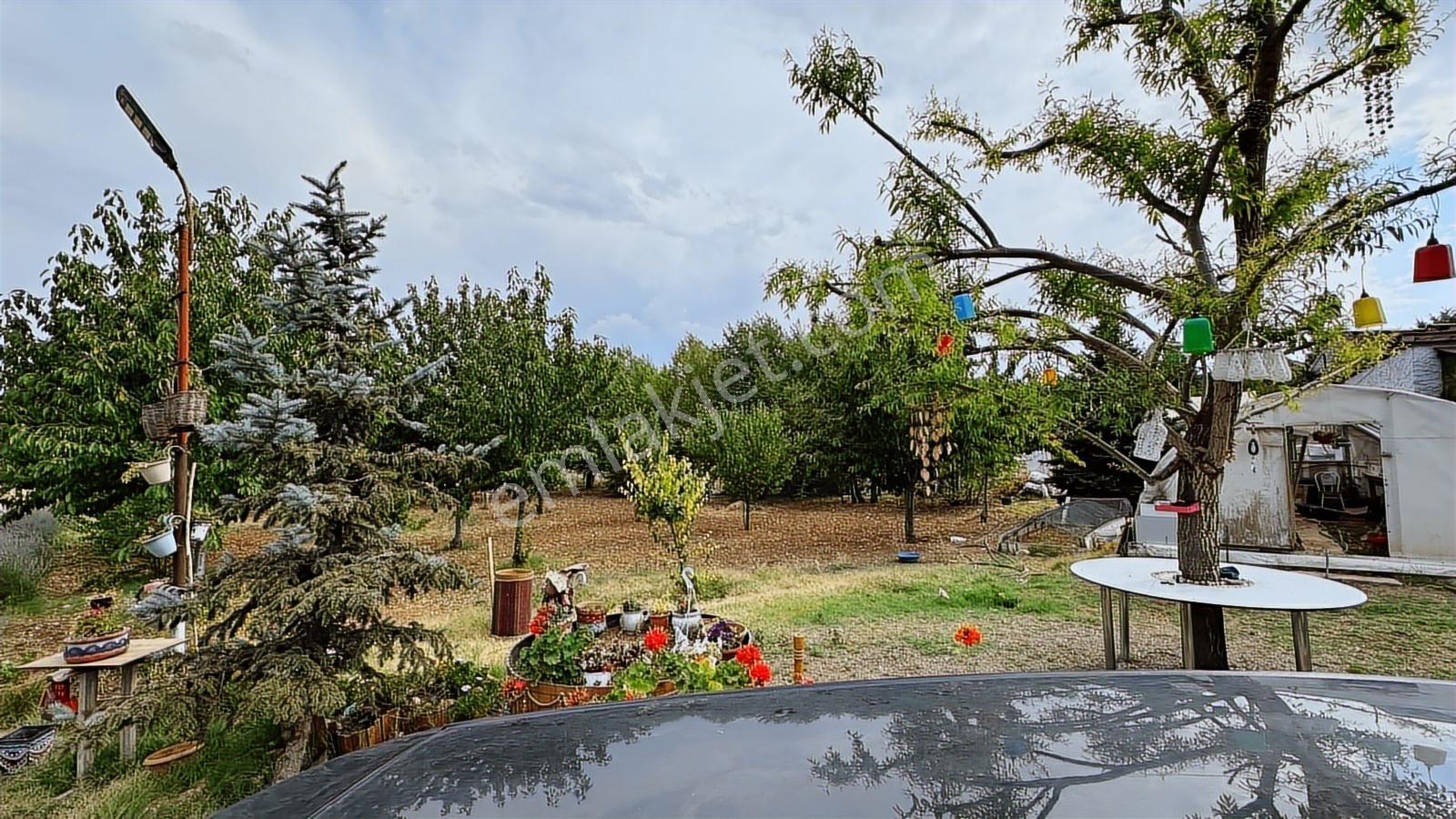 Turyap'tan Agro Turizm Ve Efsanavi Bağ Evi Ve Meyve Bahçesi Sat. - Görsel 11