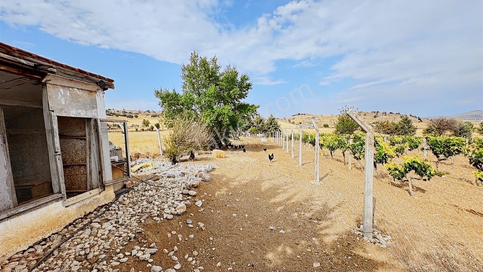 Turyap'tan Agro Turizm Ve Efsanavi Bağ Evi Ve Meyve Bahçesi Sat. - Görsel 15