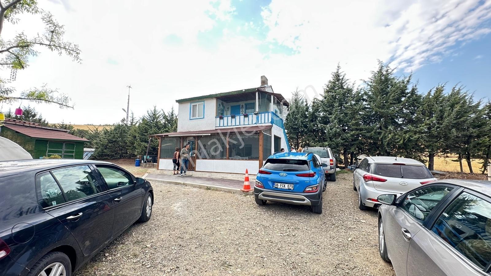 Turyap'tan Agro Turizm Ve Efsanavi Bağ Evi Ve Meyve Bahçesi Sat. - Görsel 12
