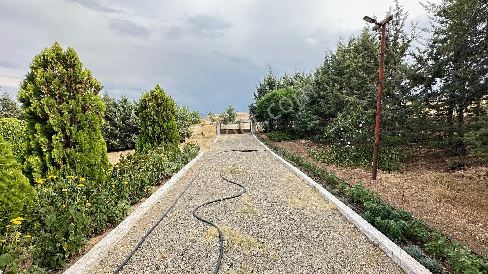 Turyap'tan Agro Turizm Ve Efsanavi Bağ Evi Ve Meyve Bahçesi Sat. - Görsel 26