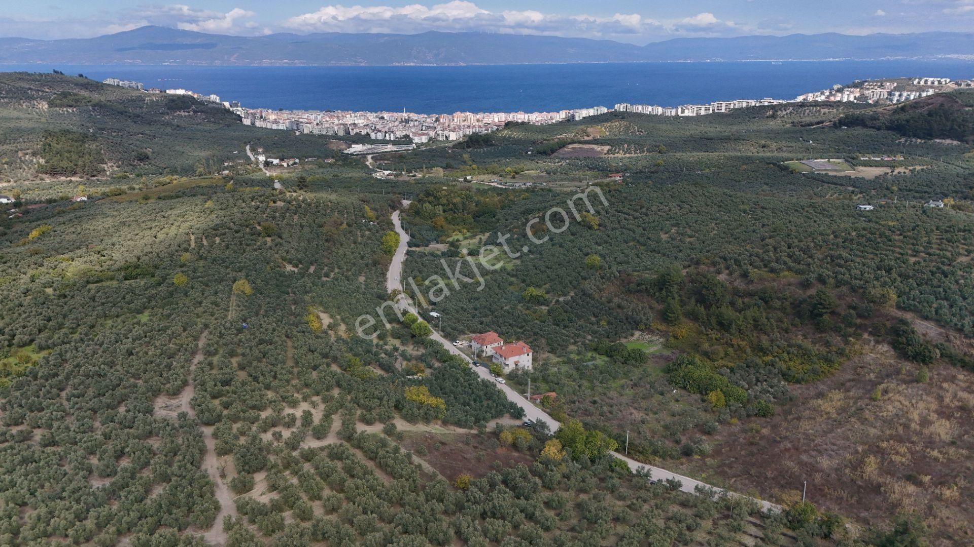 Bursa Mudanya Aydınpınar Asfalt Cephe Deniz Manzaralı - Görsel 13