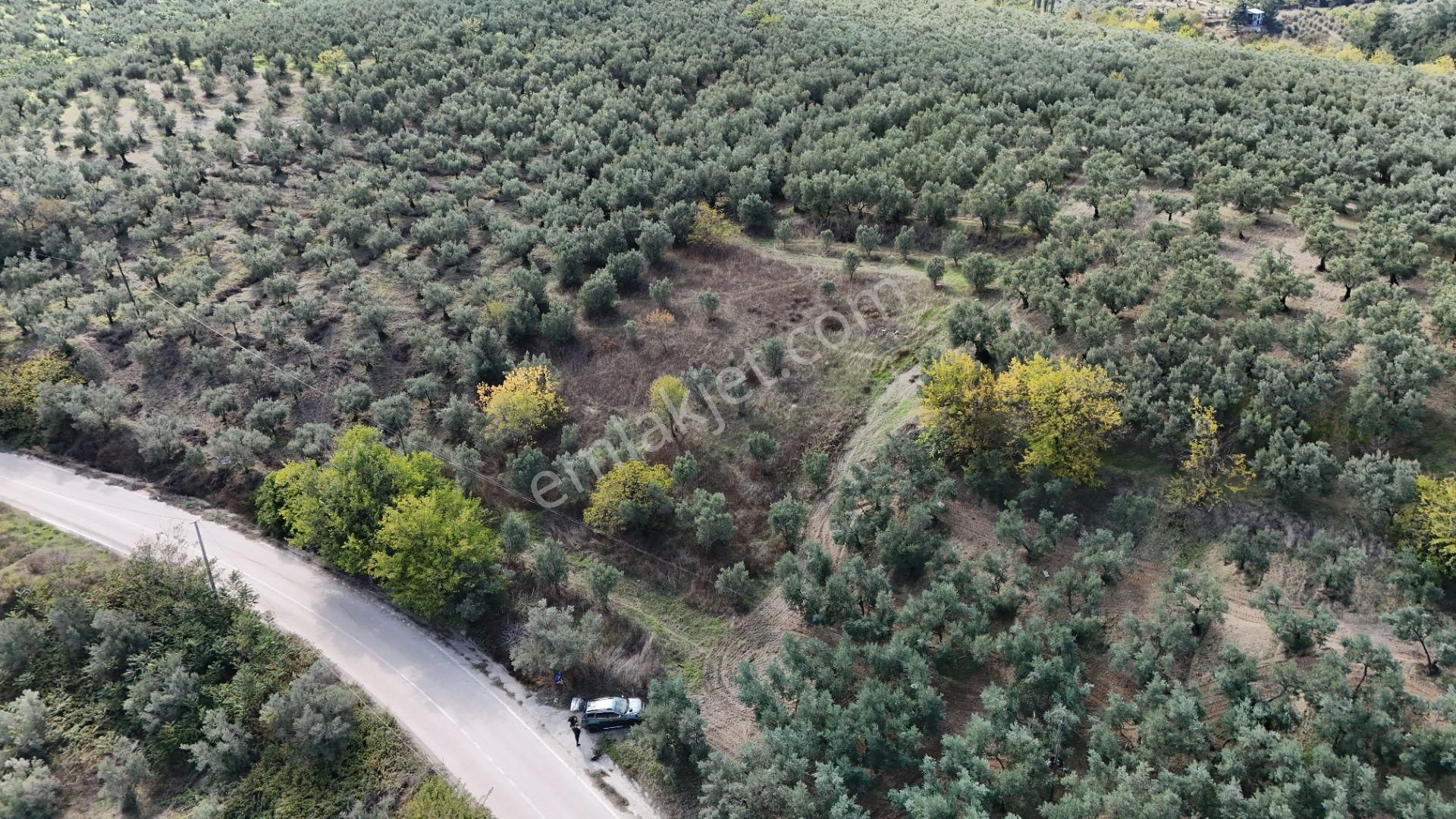 Bursa Mudanya Aydınpınar Asfalt Cephe Deniz Manzaralı - Görsel 4