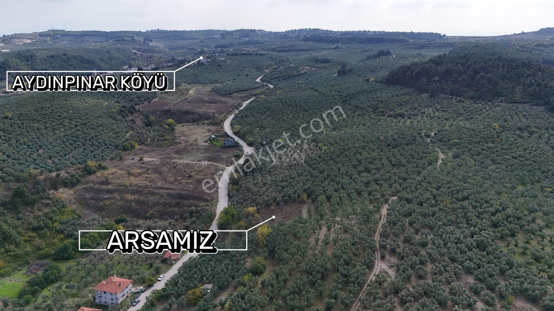 Bursa Mudanya Aydınpınar Asfalt Cephe Deniz Manzaralı