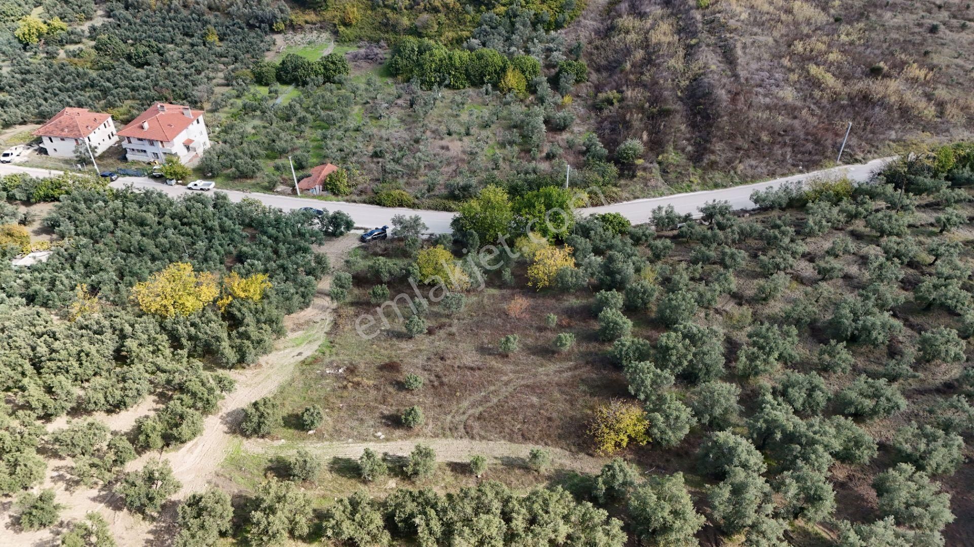 Bursa Mudanya Aydınpınar Asfalt Cephe Deniz Manzaralı - Görsel 9