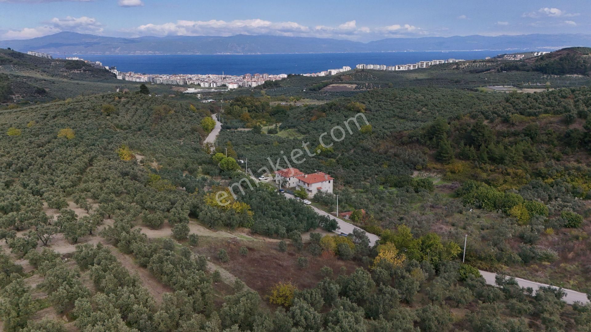 Bursa Mudanya Aydınpınar Asfalt Cephe Deniz Manzaralı - Görsel 18