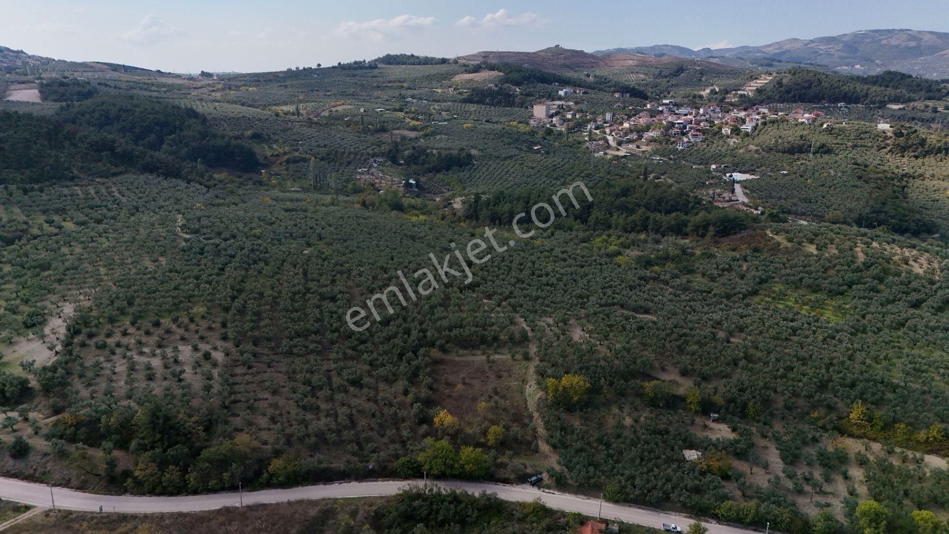Bursa Mudanya Aydınpınar Asfalt Cephe Deniz Manzaralı - Görsel 16