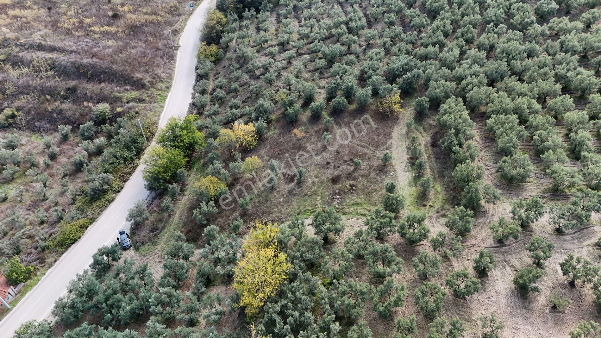 Bursa Mudanya Aydınpınar Asfalt Cephe Deniz Manzaralı - Görsel 11