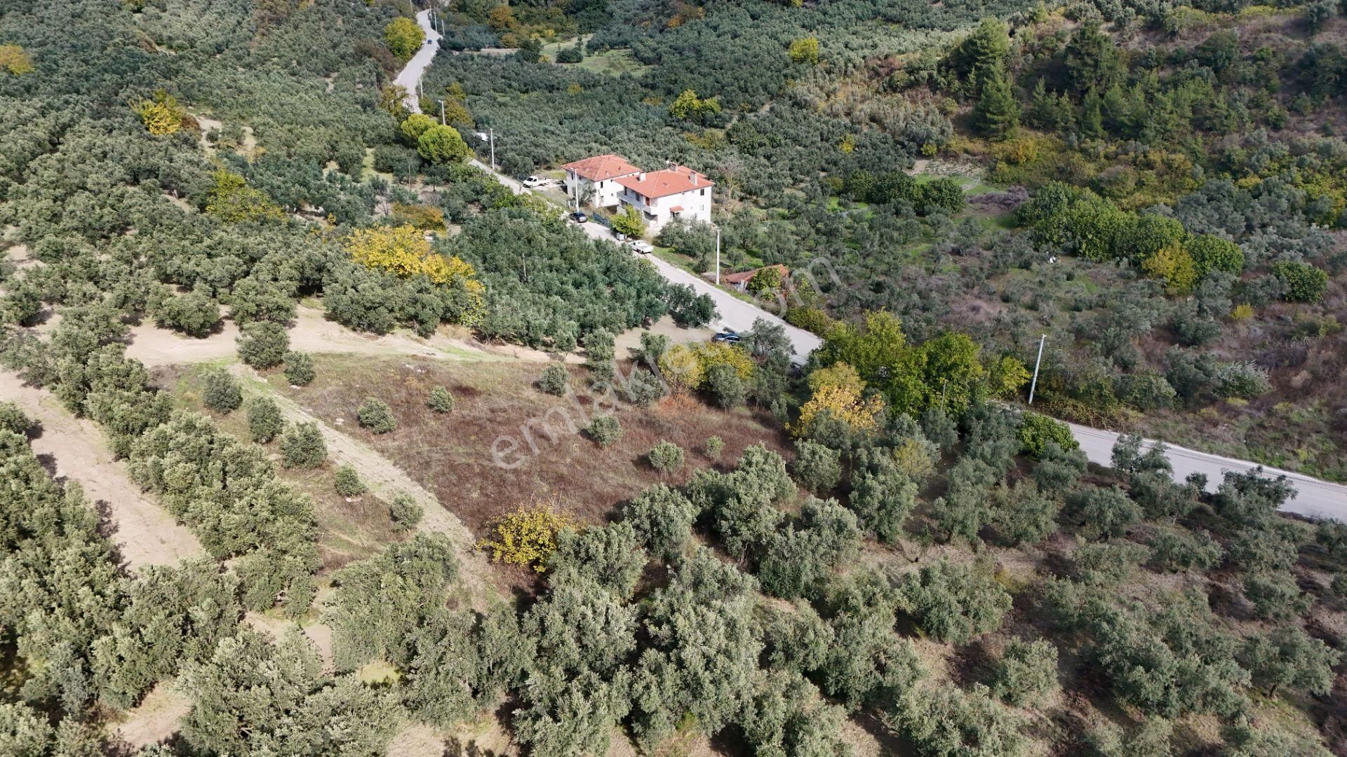 Bursa Mudanya Aydınpınar Asfalt Cephe Deniz Manzaralı - Görsel 8