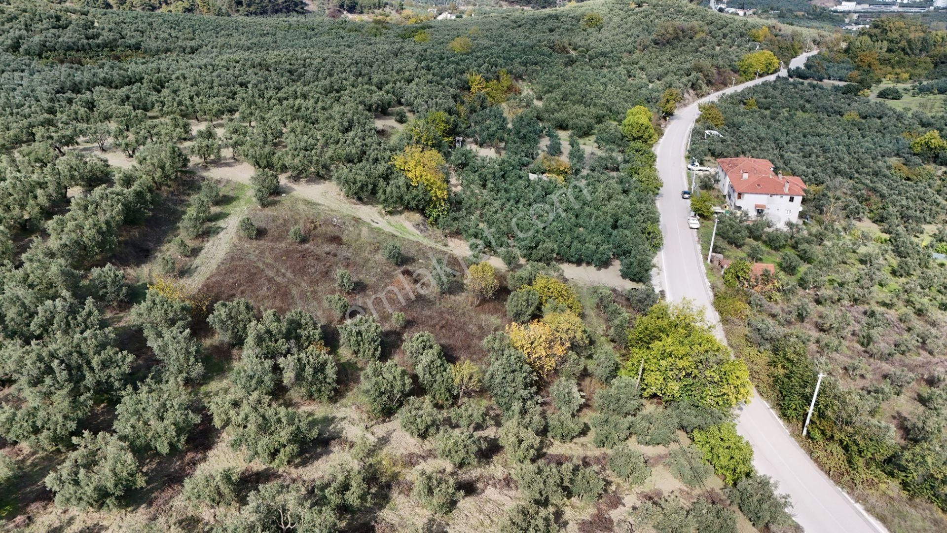 Bursa Mudanya Aydınpınar Asfalt Cephe Deniz Manzaralı - Görsel 7