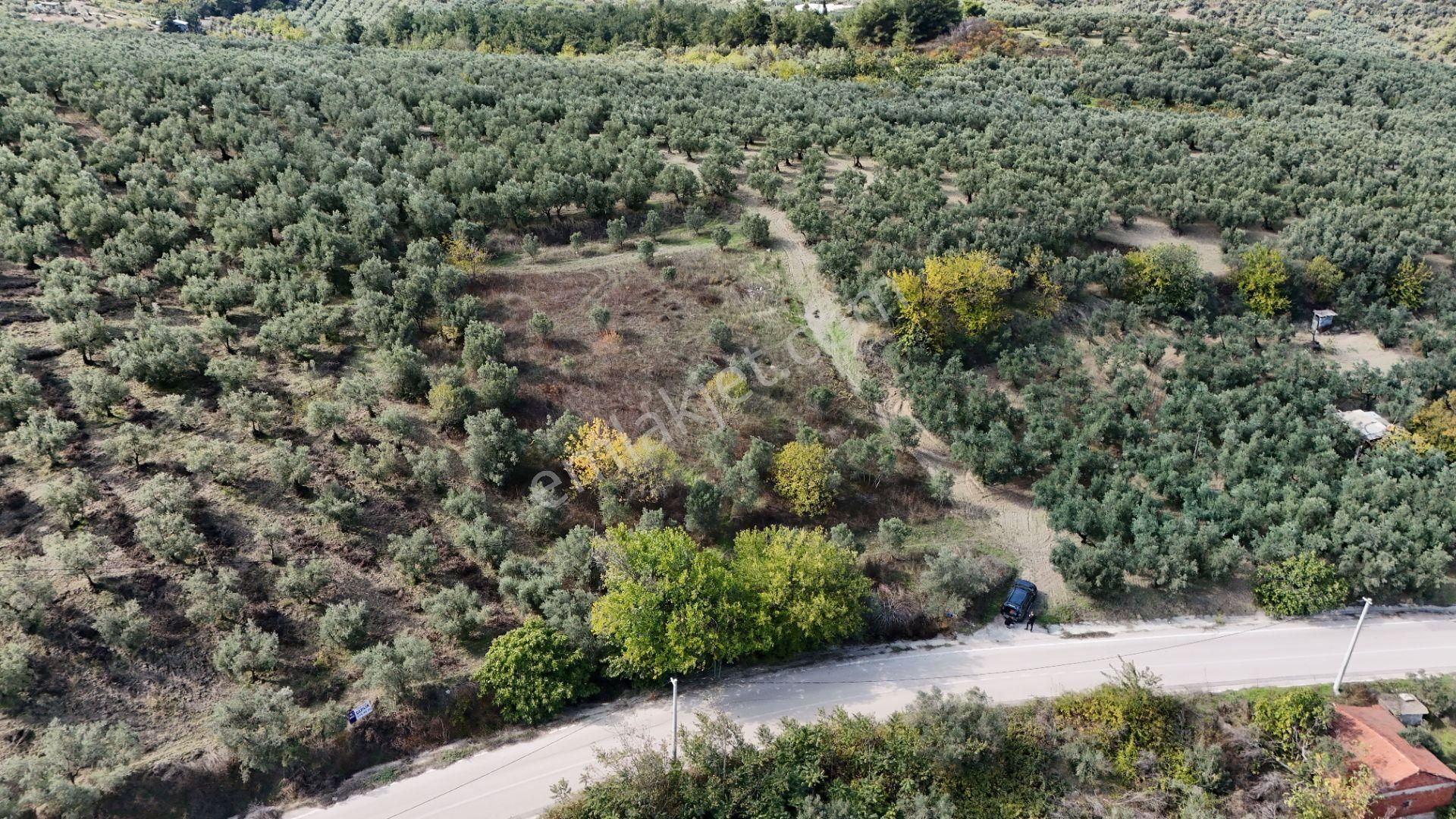 Bursa Mudanya Aydınpınar Asfalt Cephe Deniz Manzaralı - Görsel 6