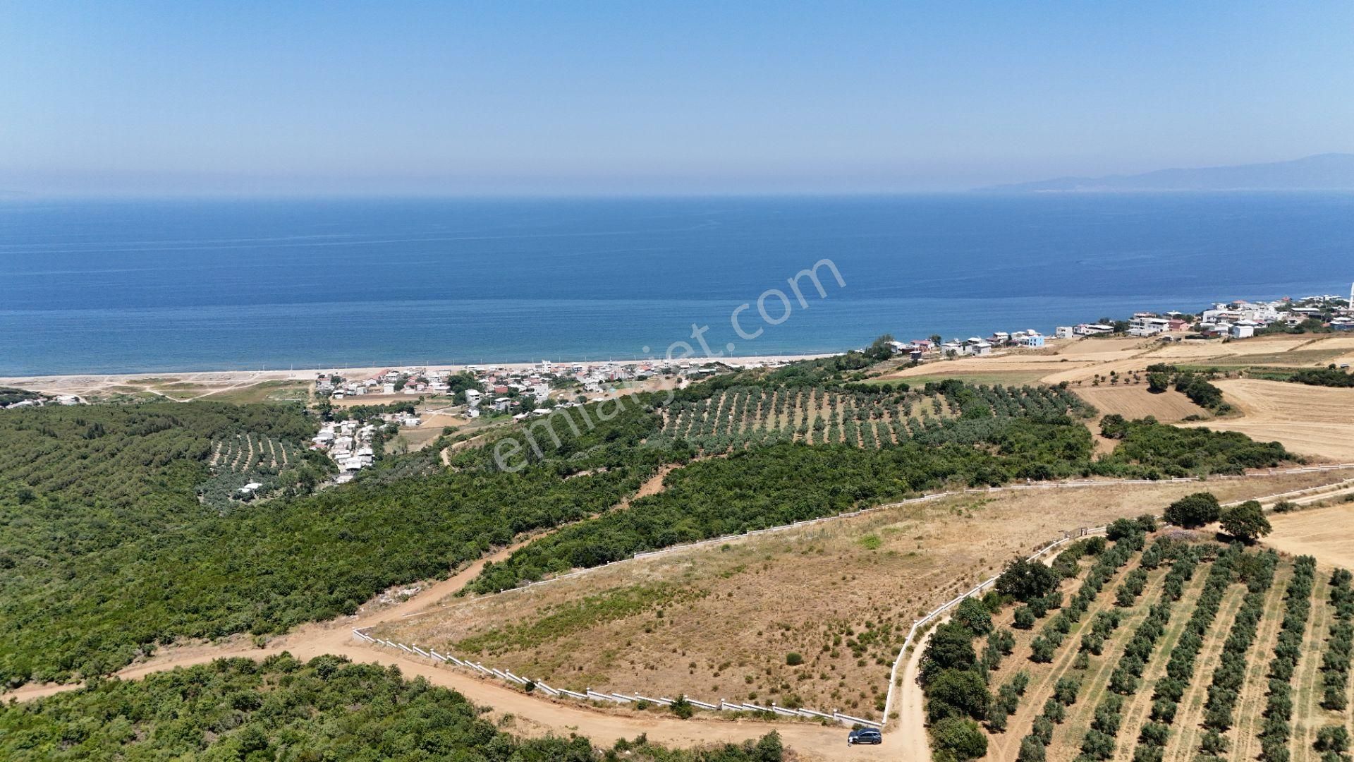 Bursa Mudanya Eğerce Komple Deniz Manzaralı - Görsel 13