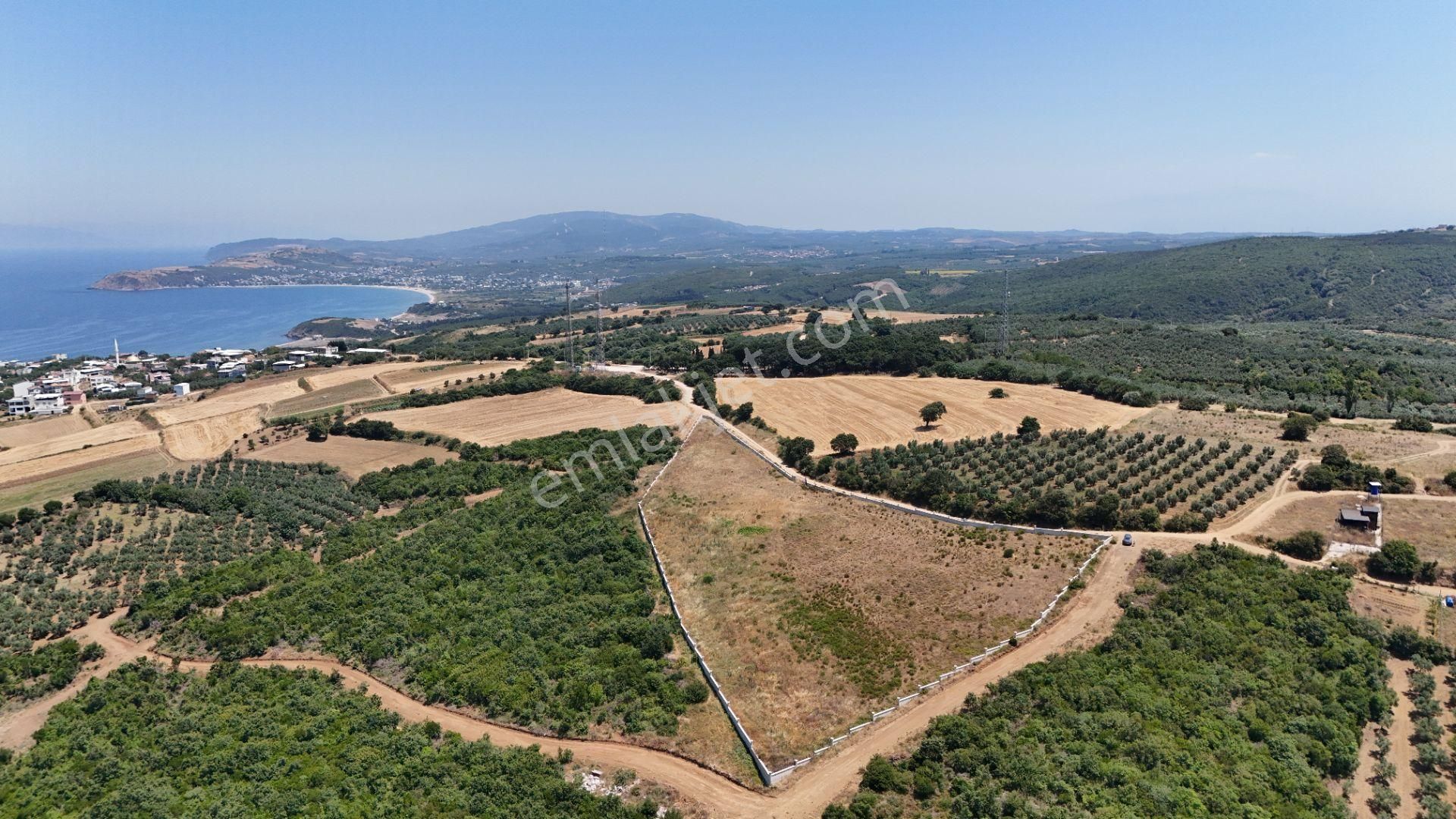 Bursa Mudanya Eğerce Komple Deniz Manzaralı - Görsel 16