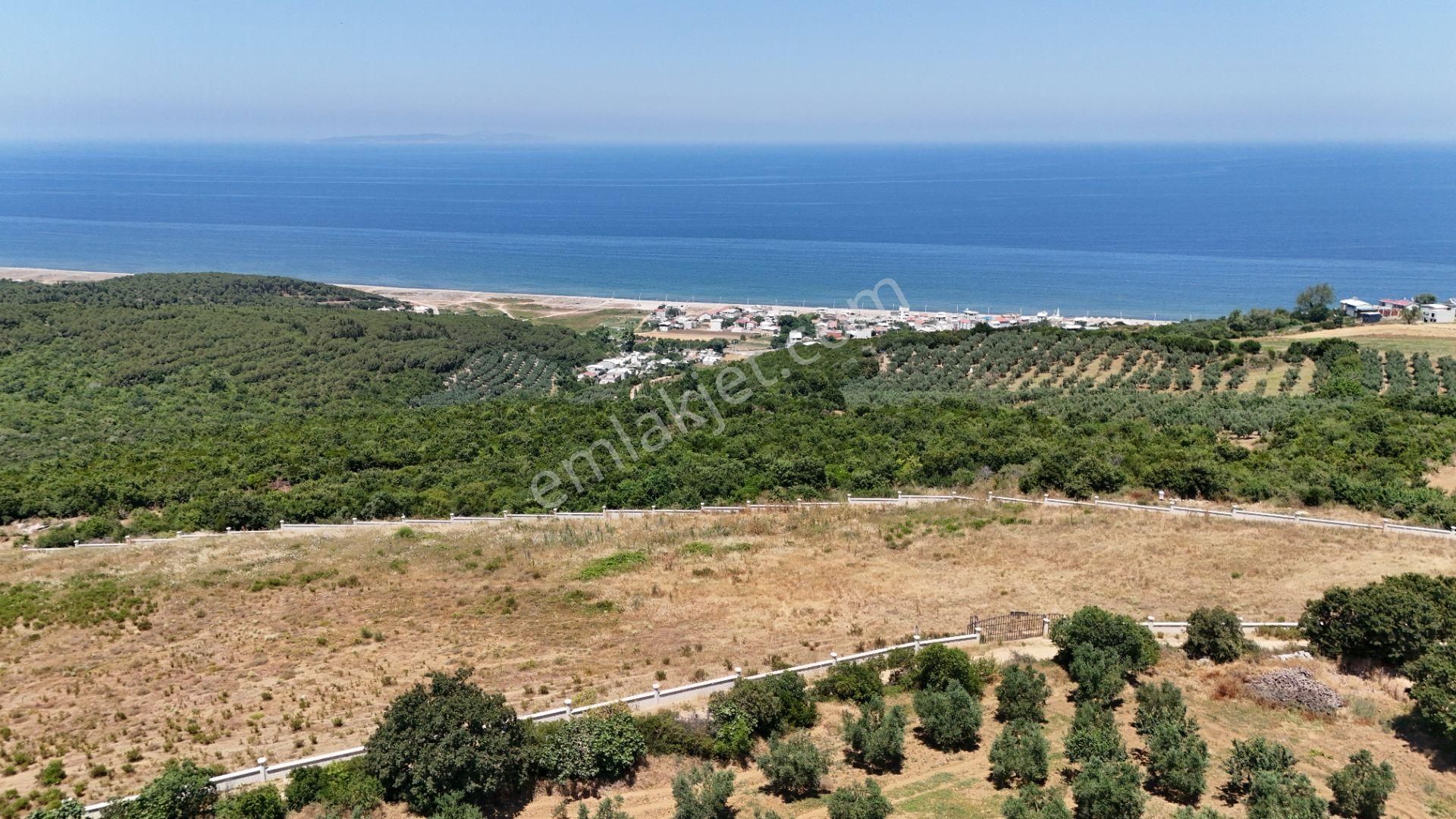 Bursa Mudanya Eğerce Komple Deniz Manzaralı - Görsel 9