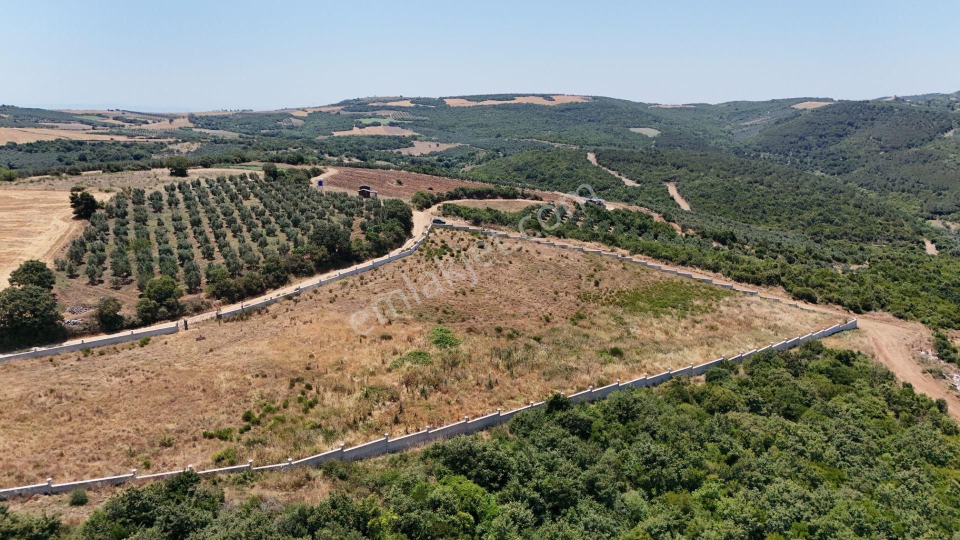 Bursa Mudanya Eğerce Komple Deniz Manzaralı - Görsel 6