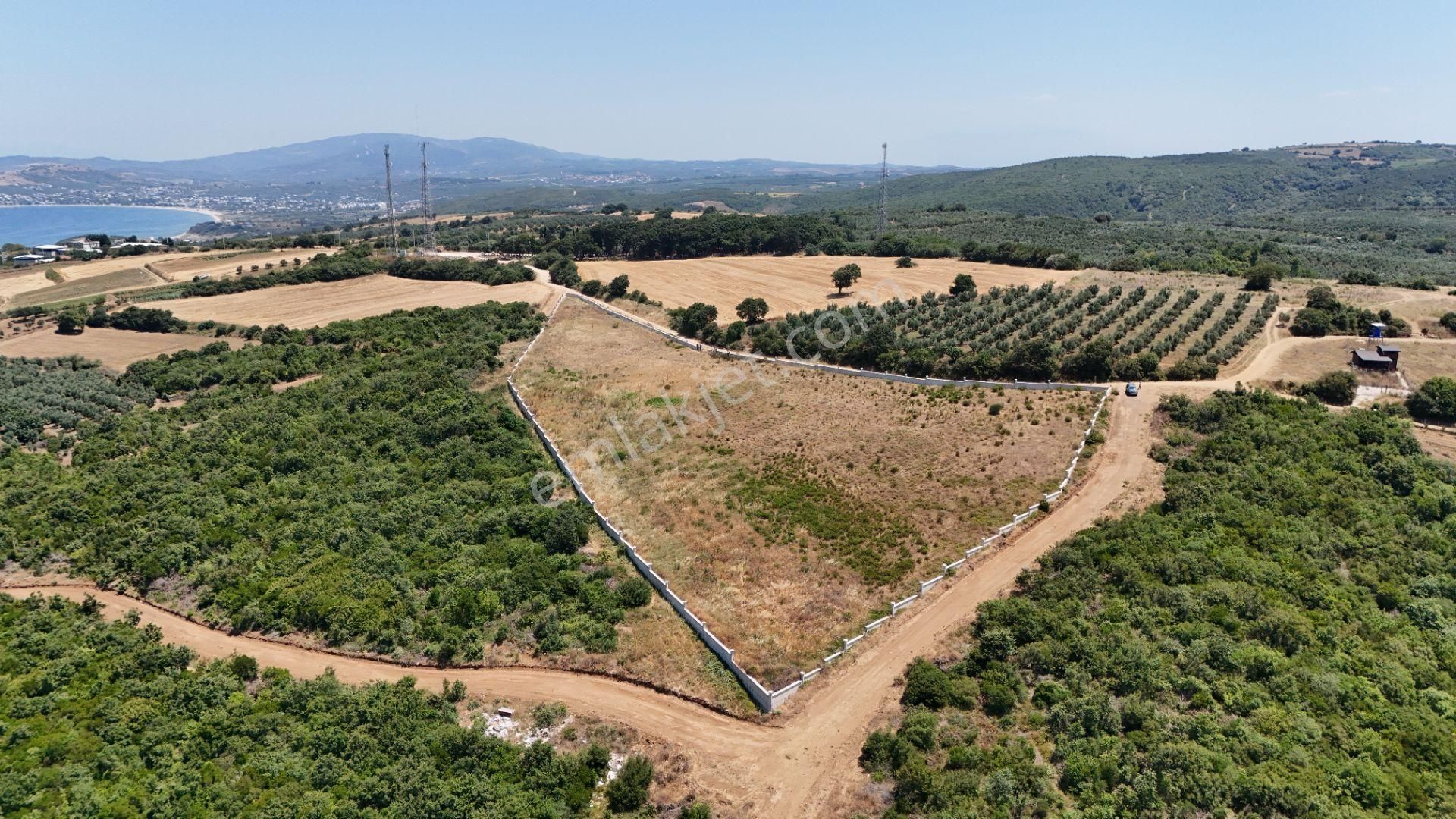Bursa Mudanya Eğerce Komple Deniz Manzaralı - Görsel 5