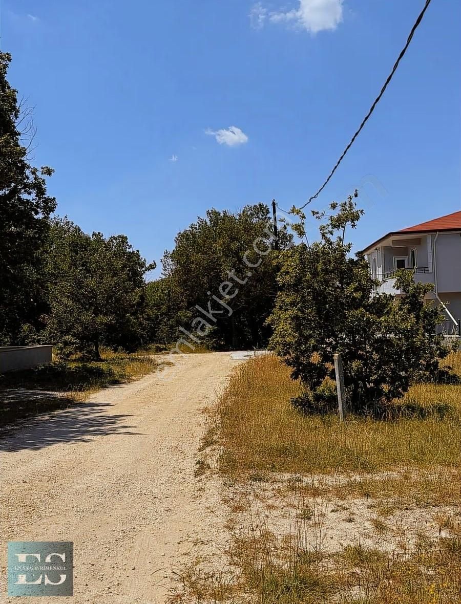 466m2 Villa Arsası Orman Cepheli - Görsel 5