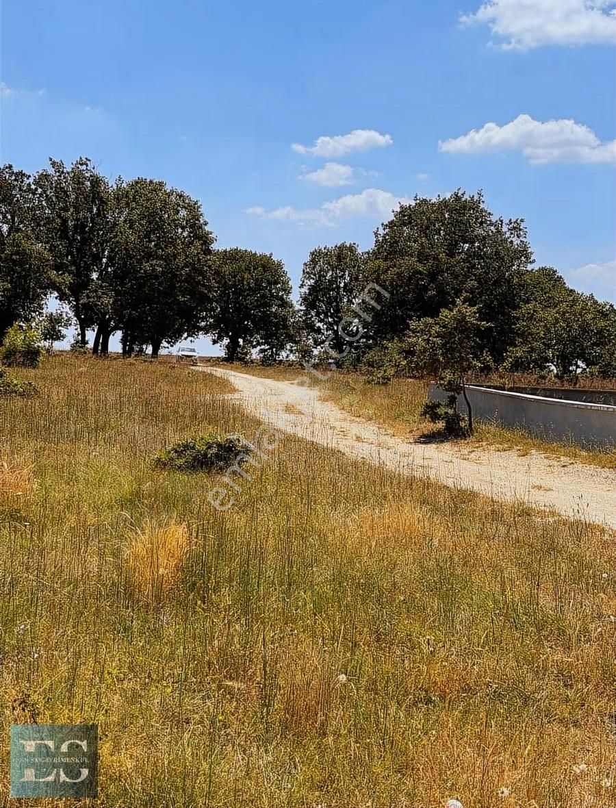 466m2 Villa Arsası Orman Cepheli - Görsel 14