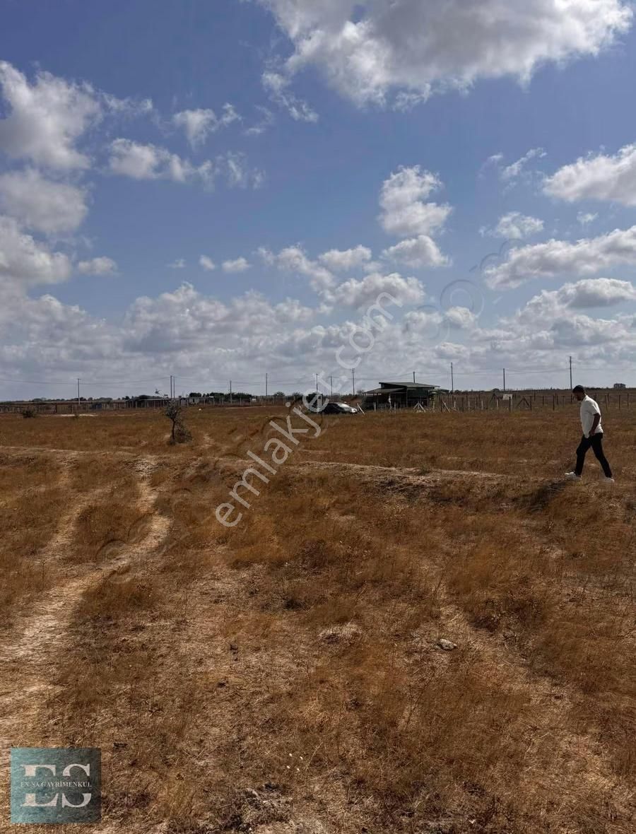 Alsata Uygun Acil Satılık 628 M2 Villa Arsası - Görsel 5