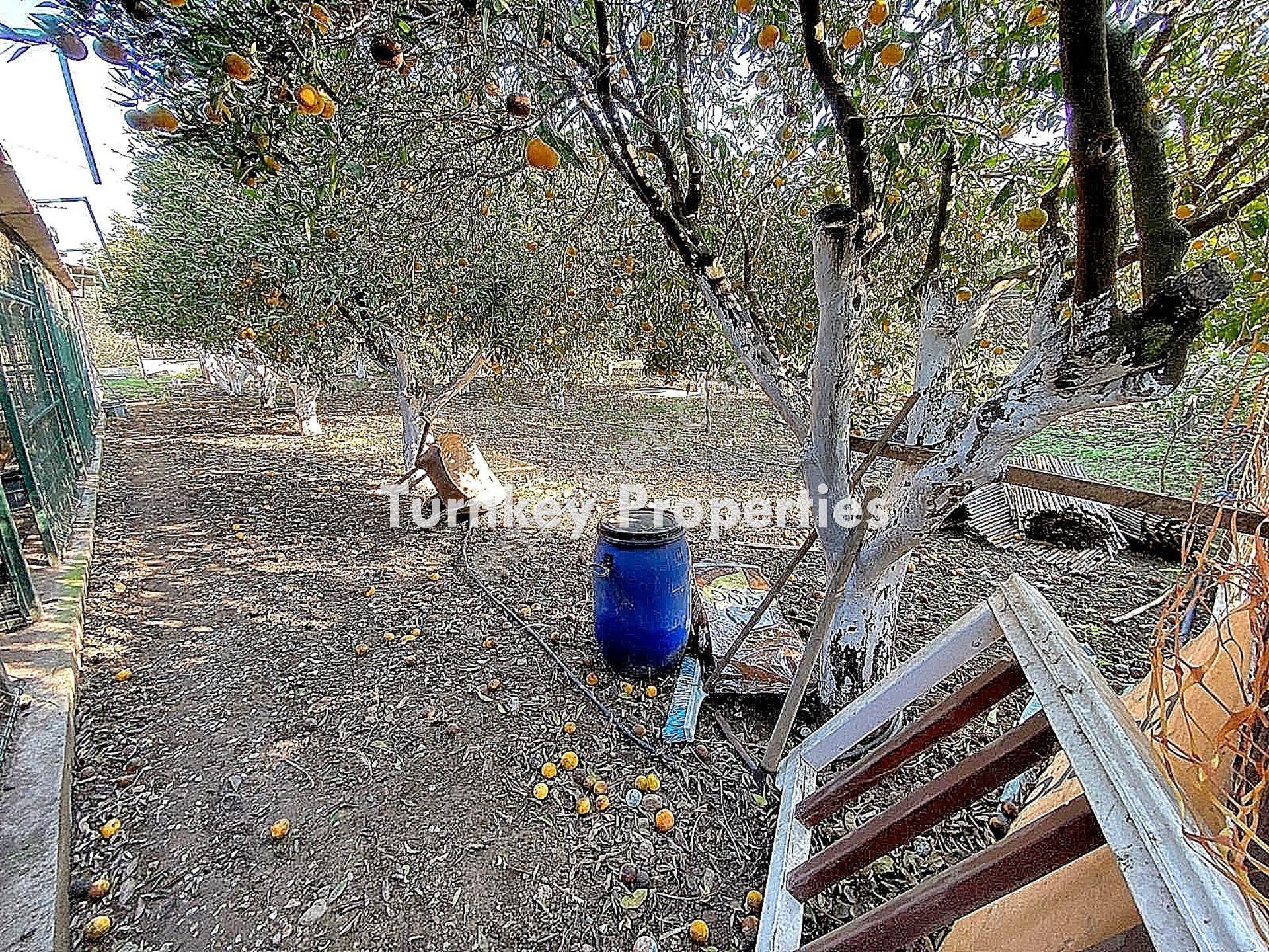Bodrum, Gündoğan Satılık Arsa Ve Ev | Doğayla İç İçe Hobi Bahçesi Ve Yatırım Fırsatı - Görsel 11