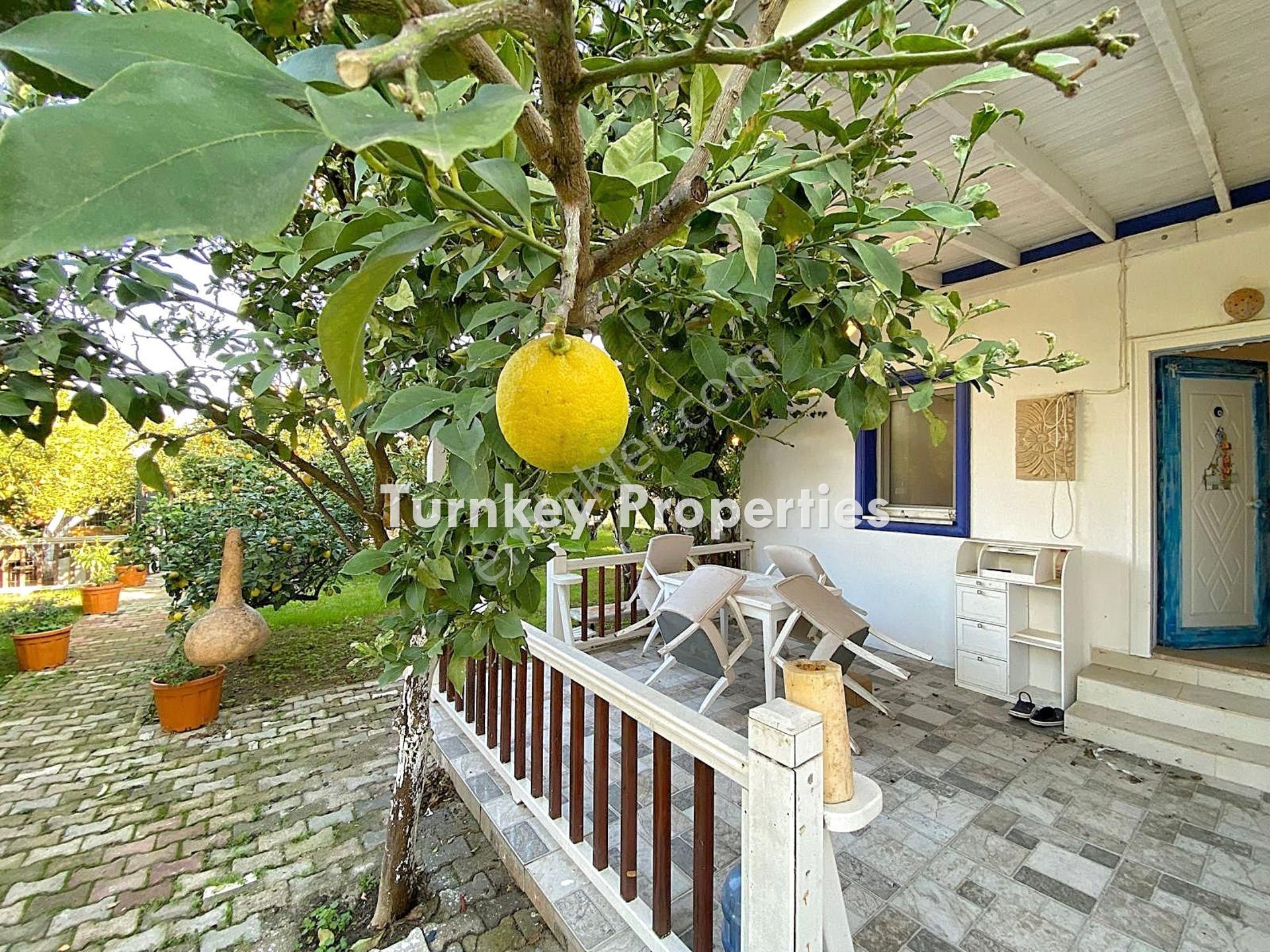 Bodrum, Gündoğan Satılık Arsa Ve Ev | Doğayla İç İçe Hobi Bahçesi Ve Yatırım Fırsatı - Görsel 16