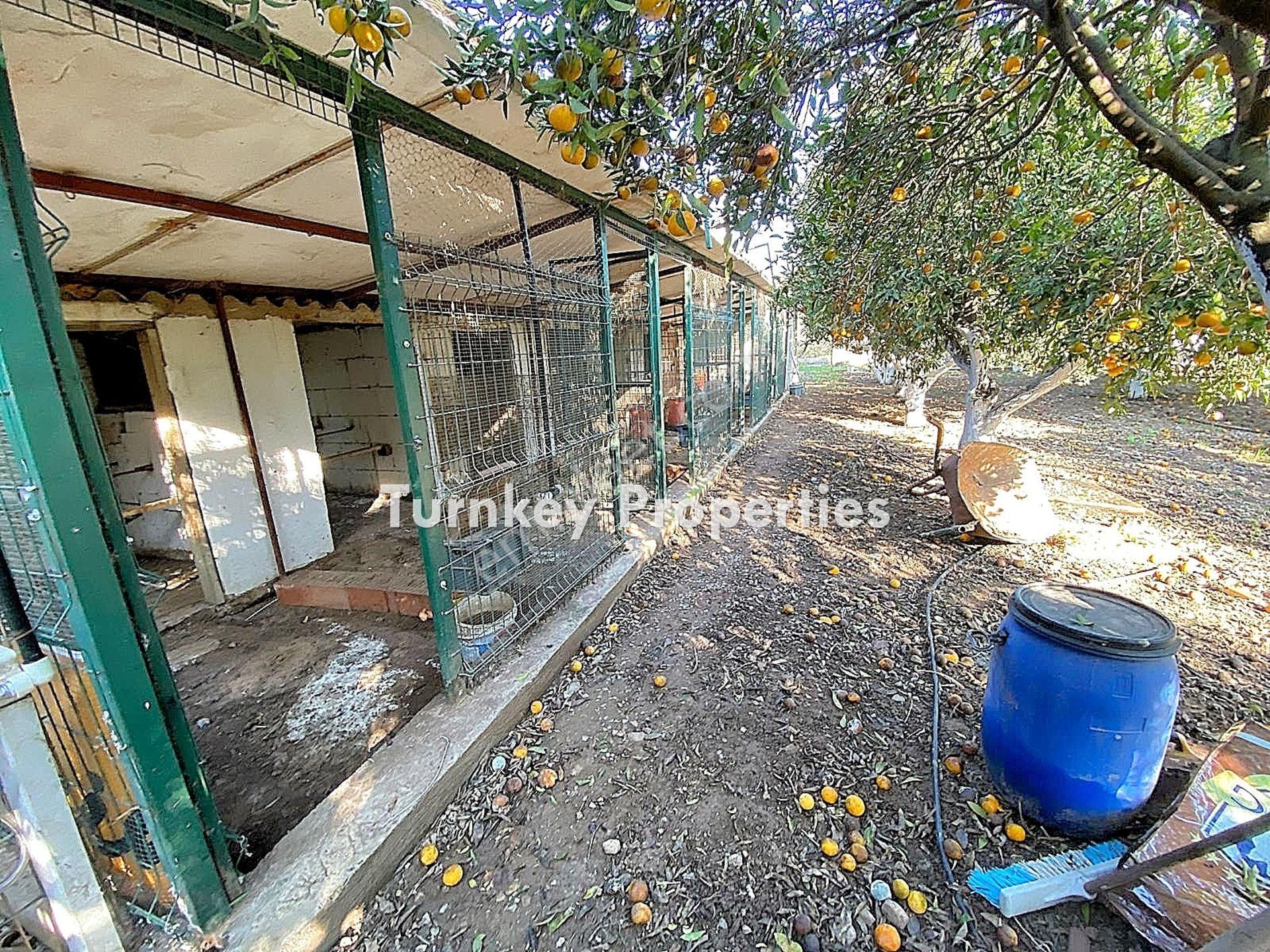Bodrum, Gündoğan Satılık Arsa Ve Ev | Doğayla İç İçe Hobi Bahçesi Ve Yatırım Fırsatı - Görsel 12