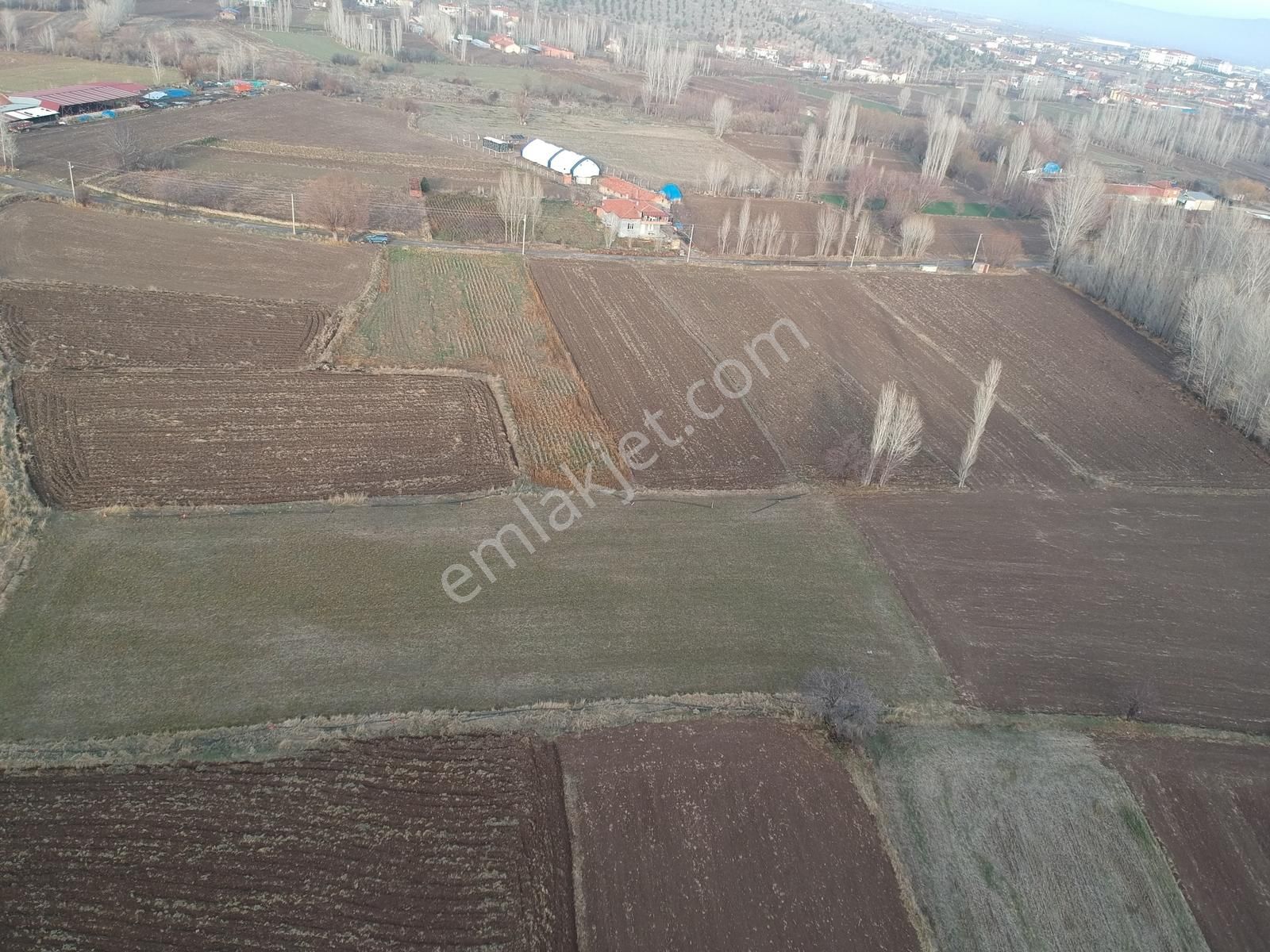 İlbey // Şuhut Merkez Hors Piknik Alanı Yanında 2113 M² Tarla - Görsel 7