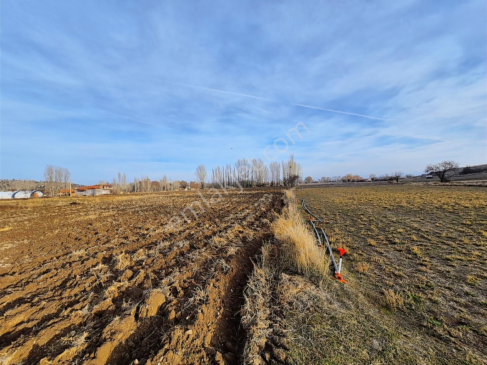 İlbey // Şuhut Merkez Hors Piknik Alanı Yanında 2113 M² Tarla - Görsel 15