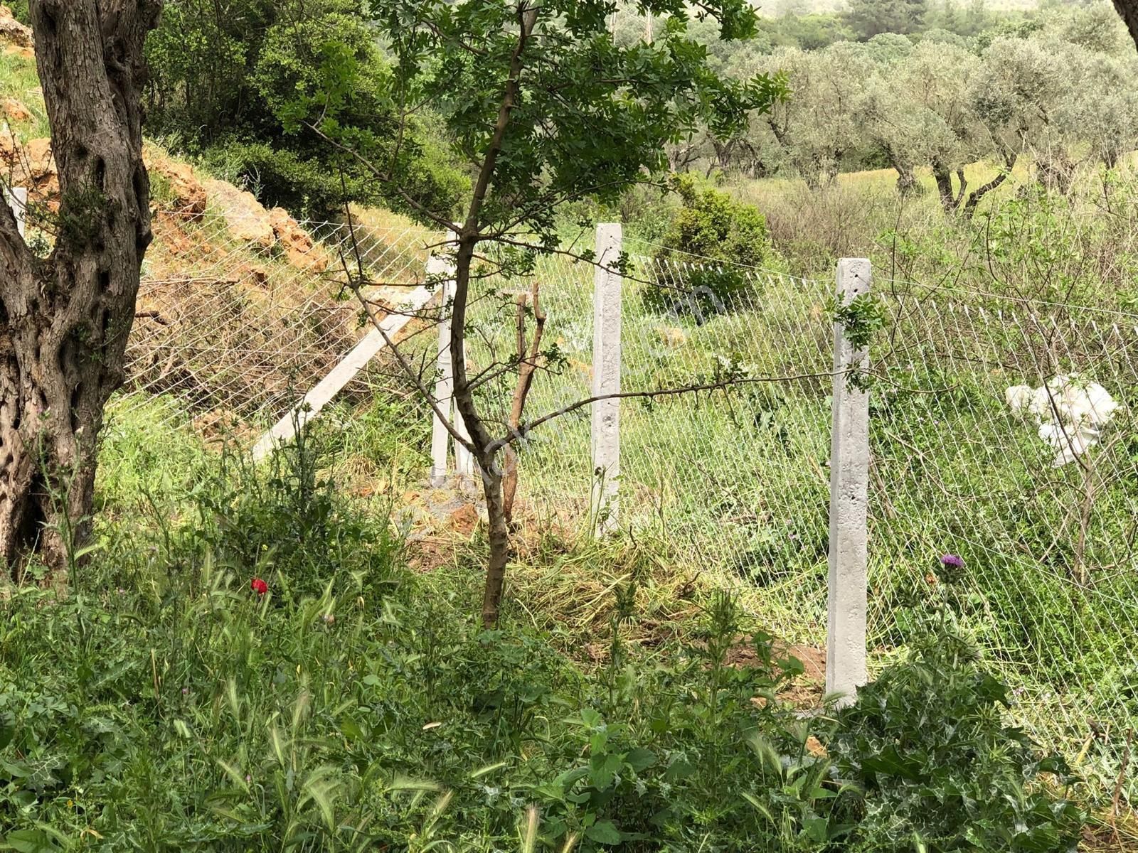 Müstakil Tapulu- İmarlı - Görsel 7