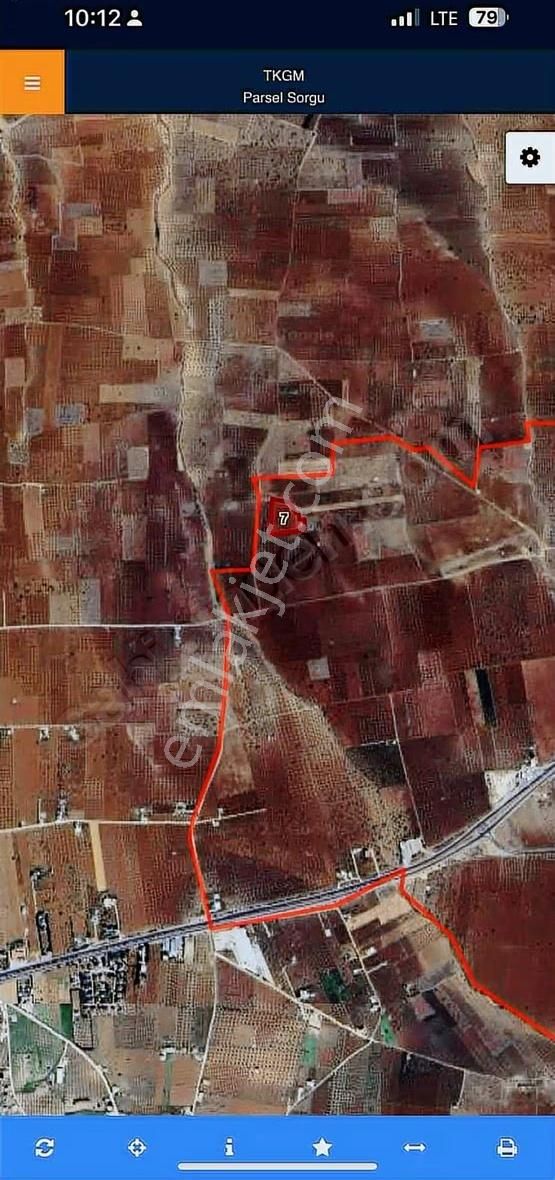 Çözüm Gayrimenkul 11750 M Zeytin - Görsel 2