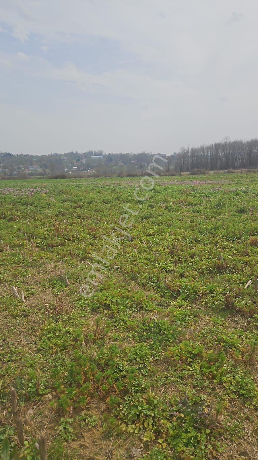 İmarlı Ana Yola 150 Metre Mesafede - Görsel 5