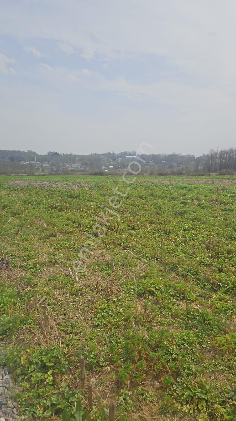 İmarlı Ana Yola 150 Metre Mesafede - Görsel 6