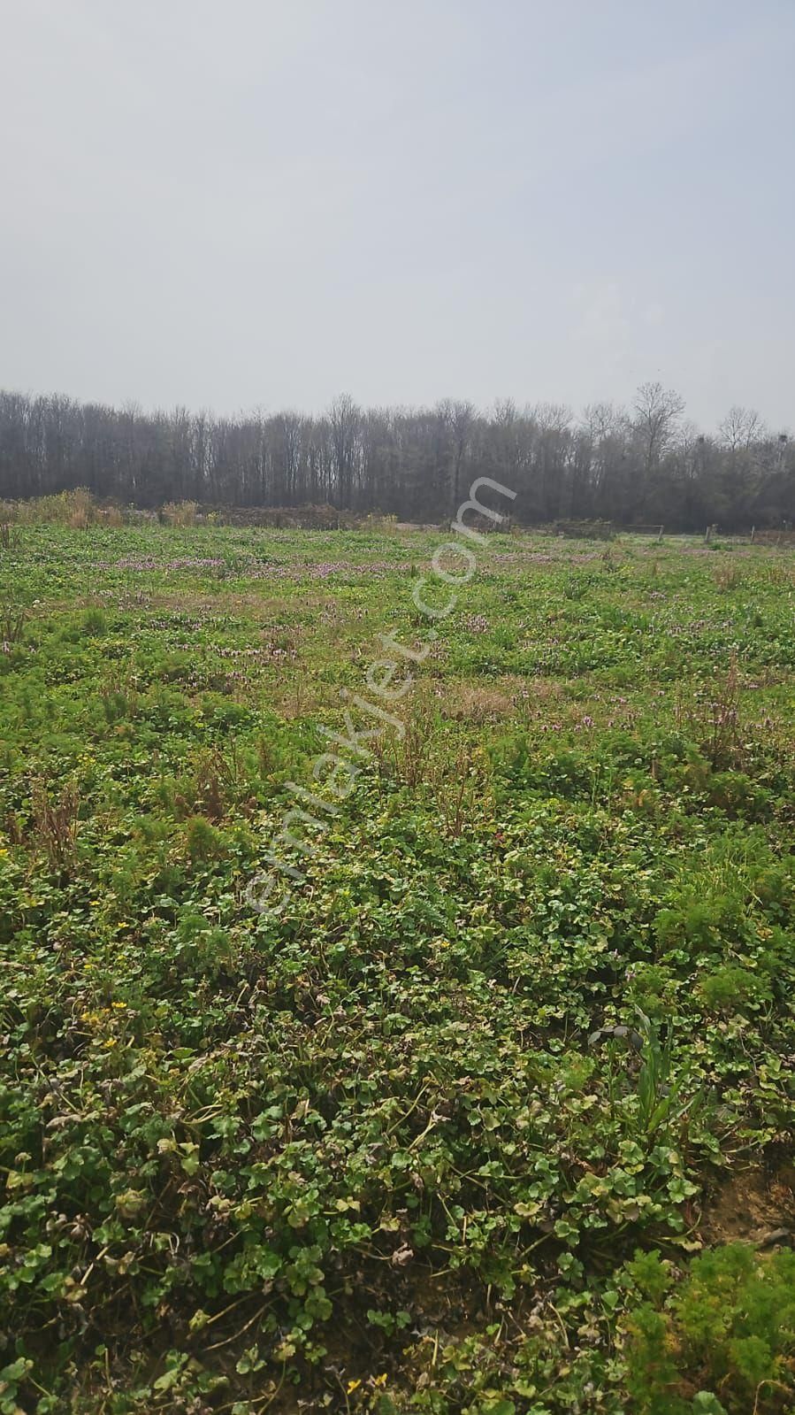 İmarlı Ana Yola 150 Metre Mesafede - Görsel 9