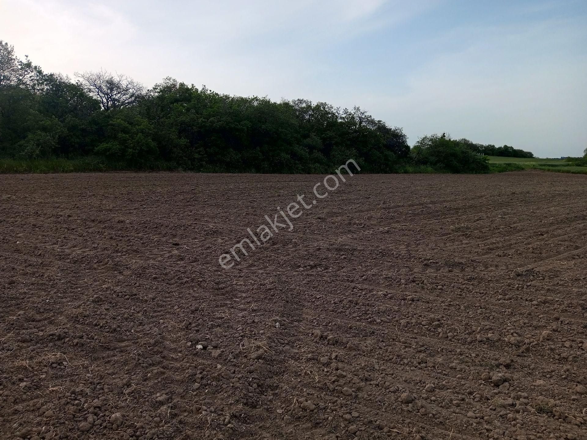 Büyükçavuşlu'da 4600 M2 Tarla - Görsel 4