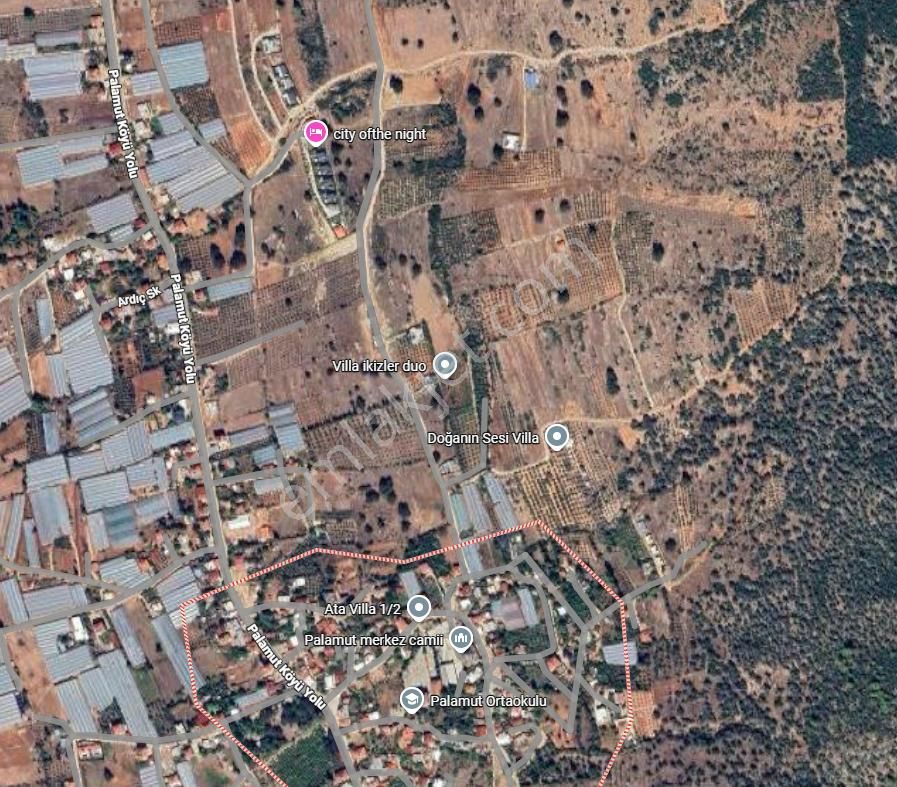 Antalya Kaş Palamut’ta Yatırımlık Tarla! - Görsel 5