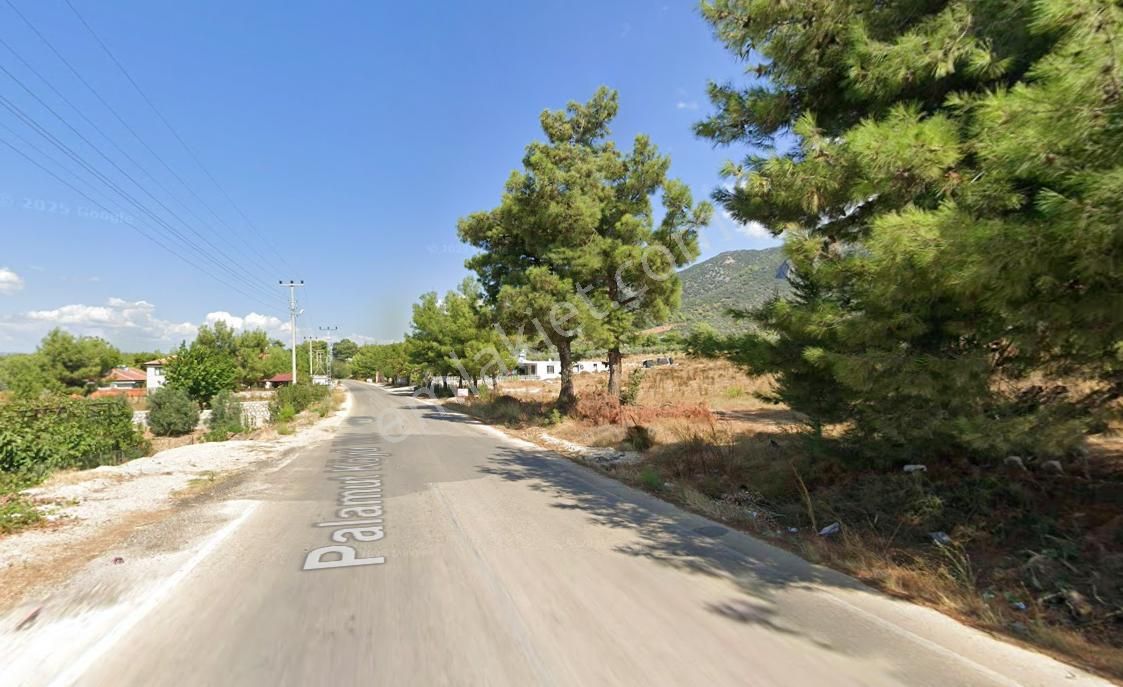 Antalya Kaş Palamut’ta Yatırımlık Tarla!