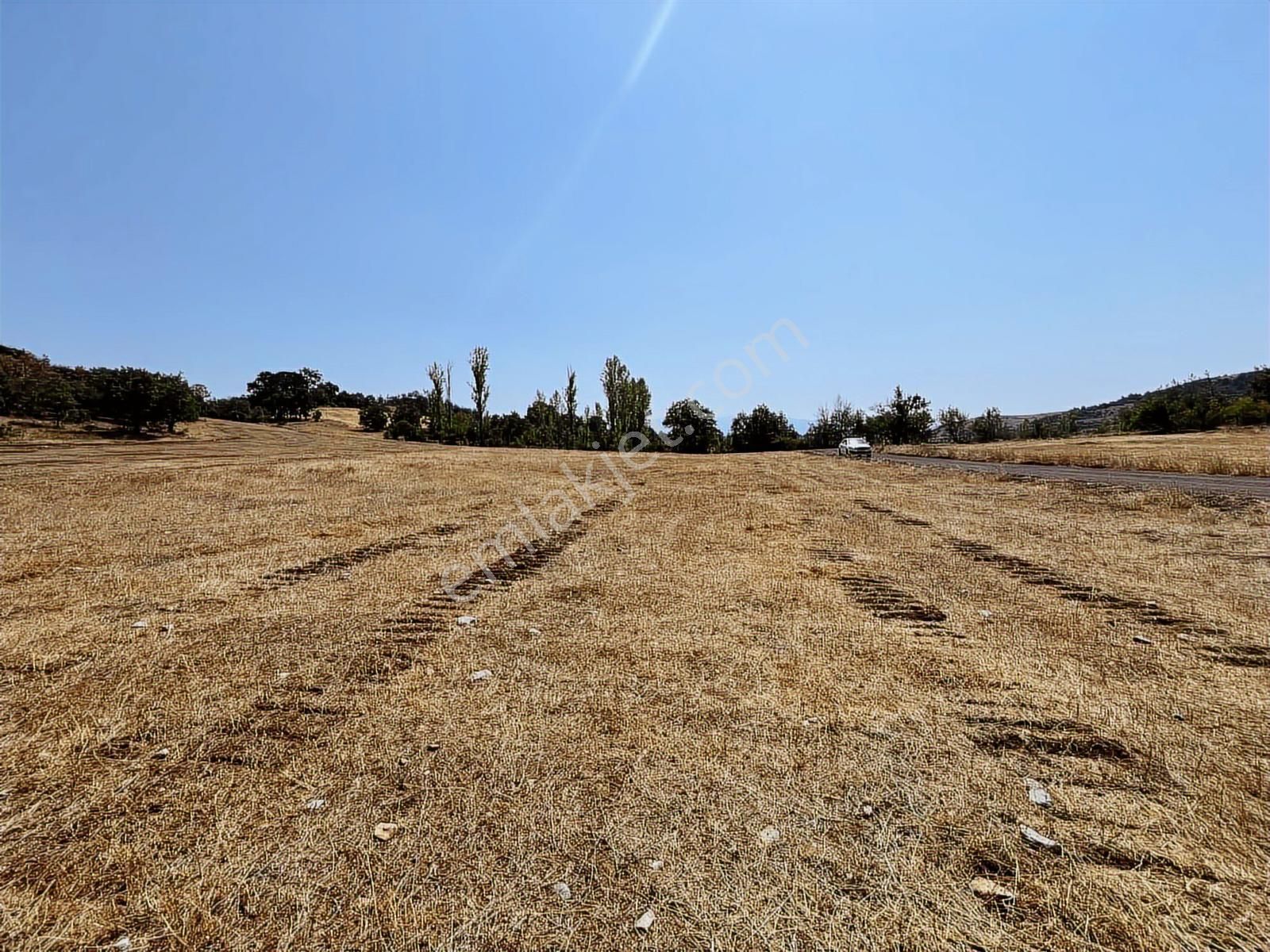 Blue Life Elit'den Gürsü Dışkaya'da 5.046 M2 Satılık Tarla - Görsel 15