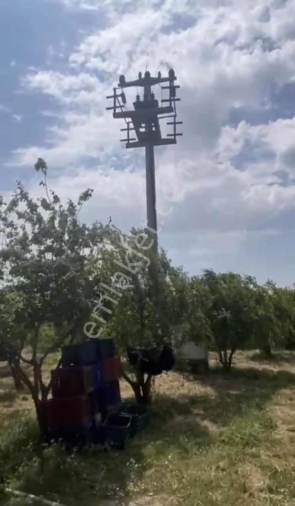 Fırsat ! 46.000 M2 Nar Bahçesi Ve 3 Damlı Kargir Evi Olan Çiflik - Görsel 23