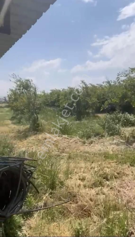 Fırsat ! 46.000 M2 Nar Bahçesi Ve 3 Damlı Kargir Evi Olan Çiflik - Görsel 18