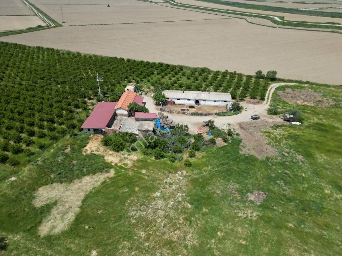 Fırsat ! 46.000 M2 Nar Bahçesi Ve 3 Damlı Kargir Evi Olan Çiflik - Görsel 12