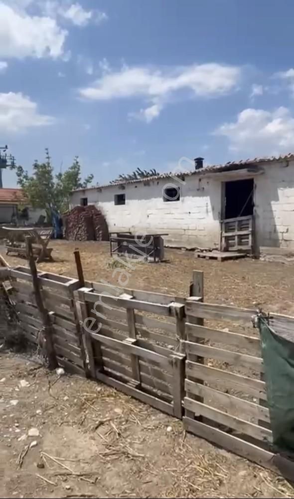 Fırsat ! 46.000 M2 Nar Bahçesi Ve 3 Damlı Kargir Evi Olan Çiflik - Görsel 27