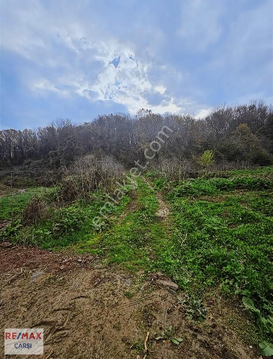 Köye Yakın Fırsat Tarla - Görsel 6